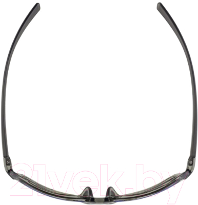 Очки солнцезащитные Alpina Sports Finety PMB / A86205-25 (серый)