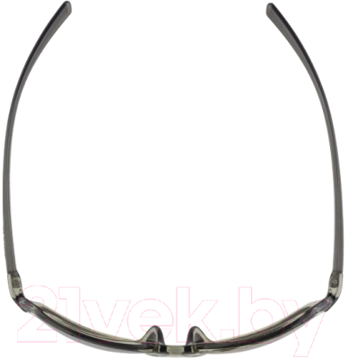 Очки солнцезащитные Alpina Sports Finety CMRG / A86143-12 (серый)