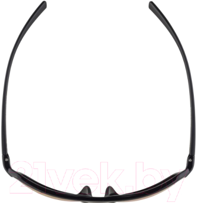 Очки солнцезащитные Alpina Sports Finety CMR / A86143-31 (черный)