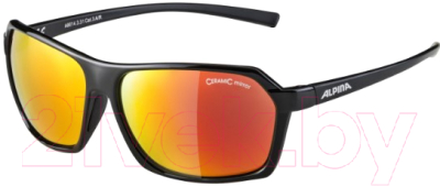 Очки солнцезащитные Alpina Sports Finety CMR / A86143-31 (черный)