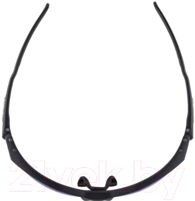 Очки солнцезащитные Alpina Sports Twist Five HR CMB+ / A85930-31 (черный)