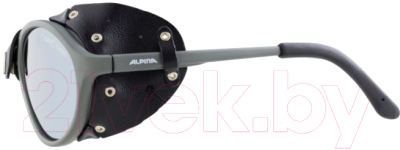 Очки солнцезащитные Alpina Sports Sibiria CM / A83163-27 (Tin/Black)