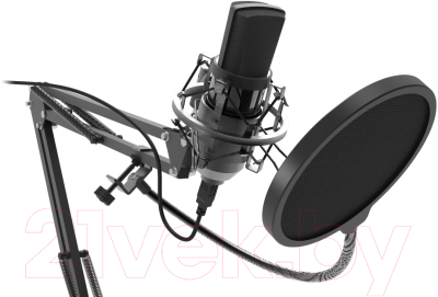 Микрофон Ritmix RDM-169 (черный)