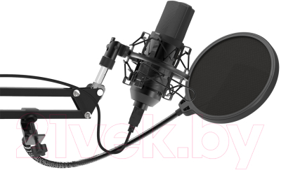 Микрофон Ritmix RDM-169 (черный)