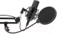 Миниатюра изображения товара Микрофон Ritmix RDM-169 (черный)