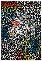Коврик Devos Caby Maya 486 (120x170, лео) -