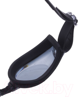 Очки для плавания Atemi M404 (черный)