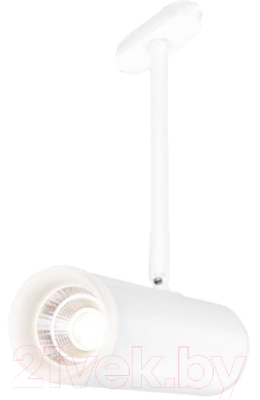 Трековый светильник Elektrostandard Oliver LTB45 9W 4200K (белый)