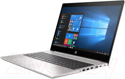 Ноутбук HP ProBook 455R G6 (8VT74EA)