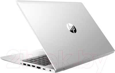 Ноутбук HP ProBook 455R G6 (8VT74EA)