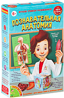 Научная игра Bondibon Познавательная анатомия / ВВ1836 - 