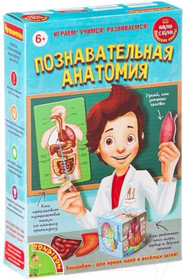 Научная игра Bondibon Познавательная анатомия / ВВ1836