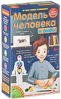 Научная игра Bondibon Модель человека / ВВ1840 - 