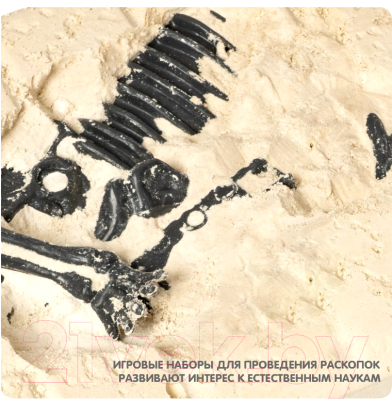 Набор для опытов Bondibon Птерозавр / ВВ1999