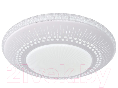 Потолочный светильник ESCADA 10213/1LED (белый)