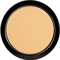 Пудра компактная Paese Illuminating Covering Powder 1С (теплый бежевый) - 