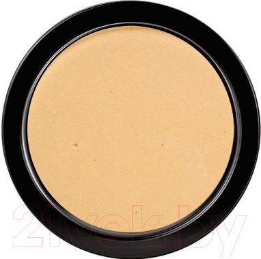 

Пудра компактная Paese, Illuminating Covering Powder 1С