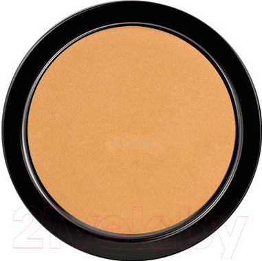 

Пудра компактная Paese, Illuminating Covering Powder 2С