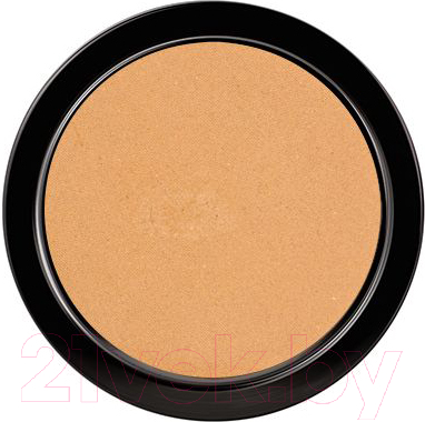 

Пудра компактная Paese, Illuminating Covering Powder 3С