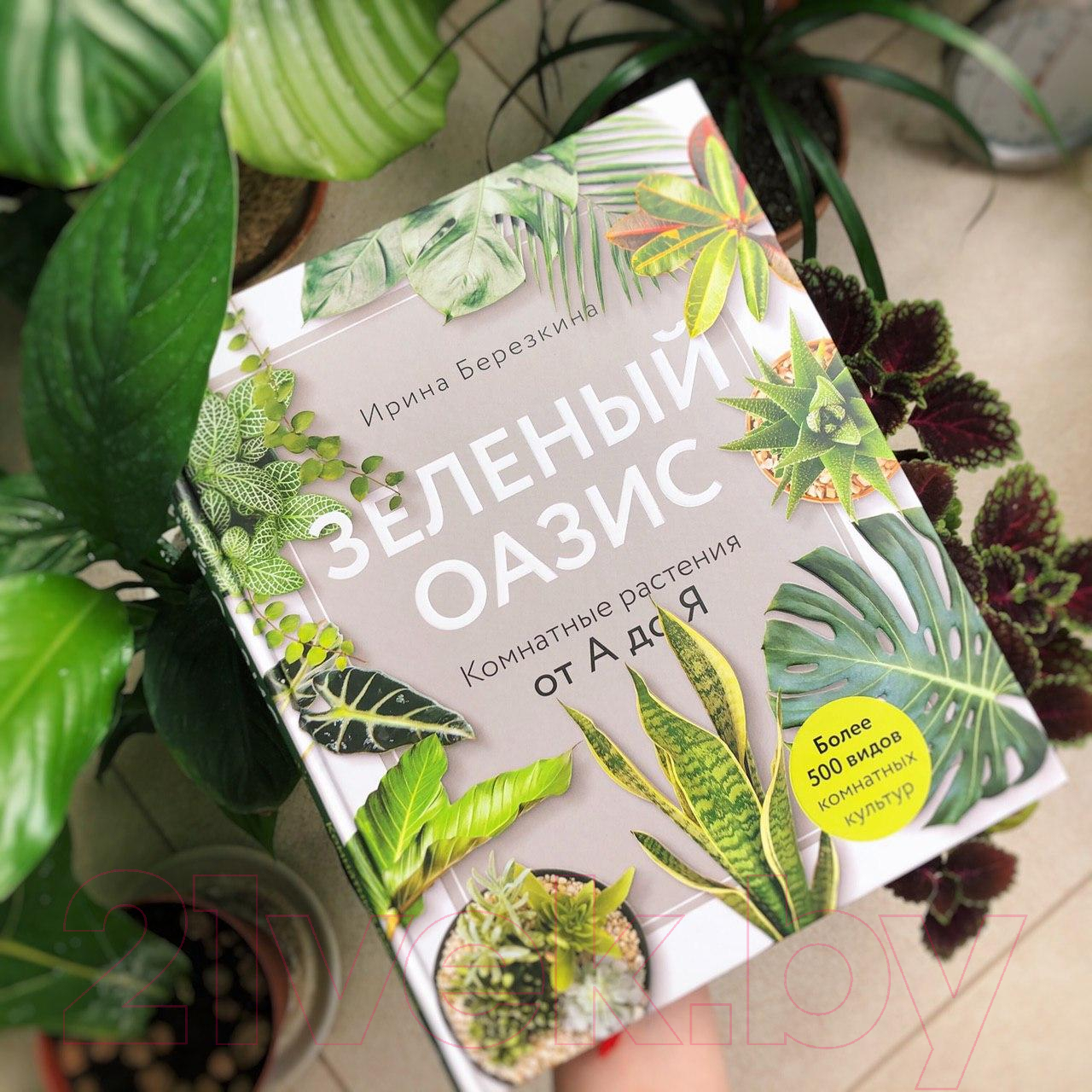 Энциклопедия Эксмо Зеленый оазис. Комнатные растения от А до Я