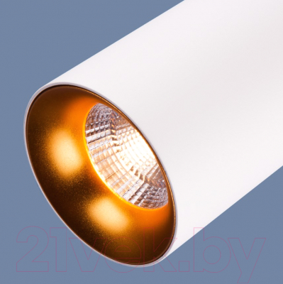 Потолочный светильник Elektrostandard DLS021 9+4W 4200K (белый матовый/золотистый)
