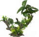 Декорация для аквариума Aqua Della Florascape 2 / 234/432068 - 