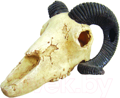 Декорация для террариума Lucky Reptile Skull Ram череп / DS-R