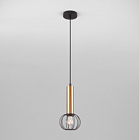 

Потолочный светильник Евросвет, Parker 50178/1