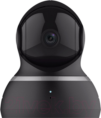 IP-камера YI 1080p Dome Camera (черный)