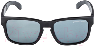 Очки солнцезащитные Alpina Sports Mitzo CM / A85723-31 (черный)