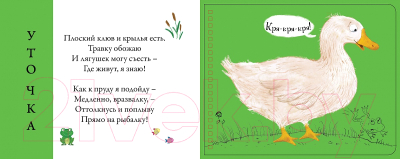 Развивающая книга Робинс Домашние животные. Подбери картинки-половинки! (Сосновский Е.)