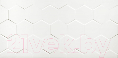 Плитка Netto White Hexagon (300x600)