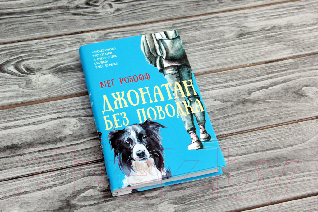 Художественная книга АСТ Джонатан без поводка (Розофф М.) — фото 2