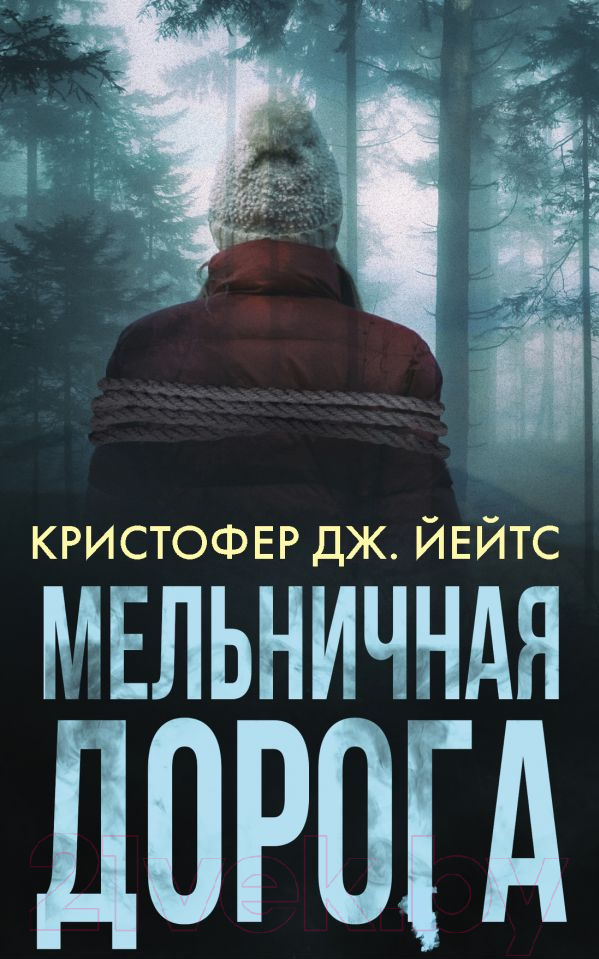 Художественная книга АСТ Мельничная дорога (Йейтс К.)