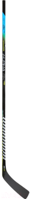 

Клюшка хоккейная Warrior, DX ProTeam 75 W71 / DXPT75G9 715