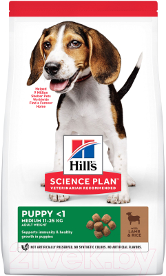 Сухой корм для собак Hill's Science Plan Puppy Lamb & Rice / 604605 (2.5кг)