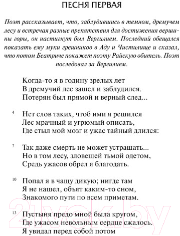 Художественная книга АСТ Божественная комедия / 9785170779604 (Алигьери Д.) — фото 4