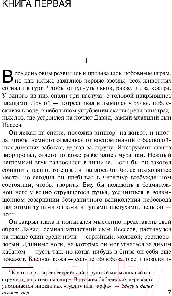Художественная книга АСТ Царь Давид (Шмитт Г.) — фото 6