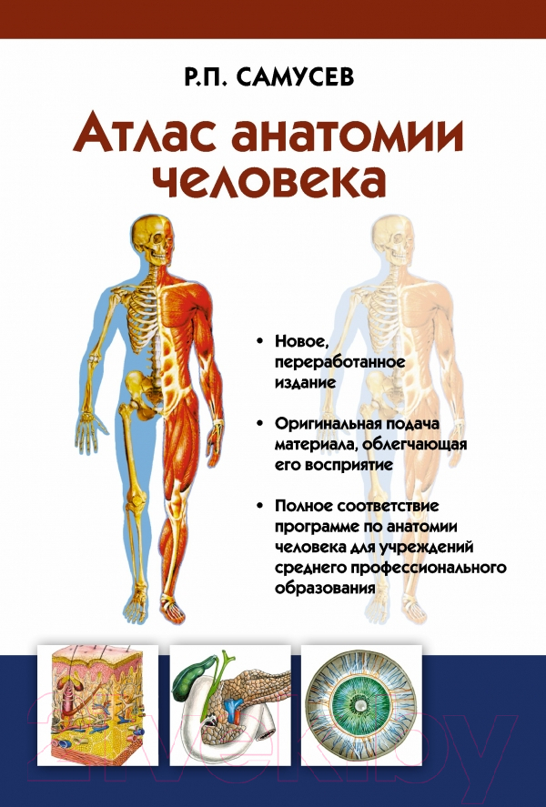 Книга АСТ Атлас анатомии человека (Самусев Р.П.)