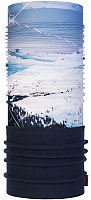Бафф Buff Mountain Collection Polar M-Blank Blue (120916.707.10.00) - 