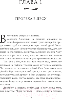 Книга АСТ Бездна грома и мглы (Дэшнер Д.)