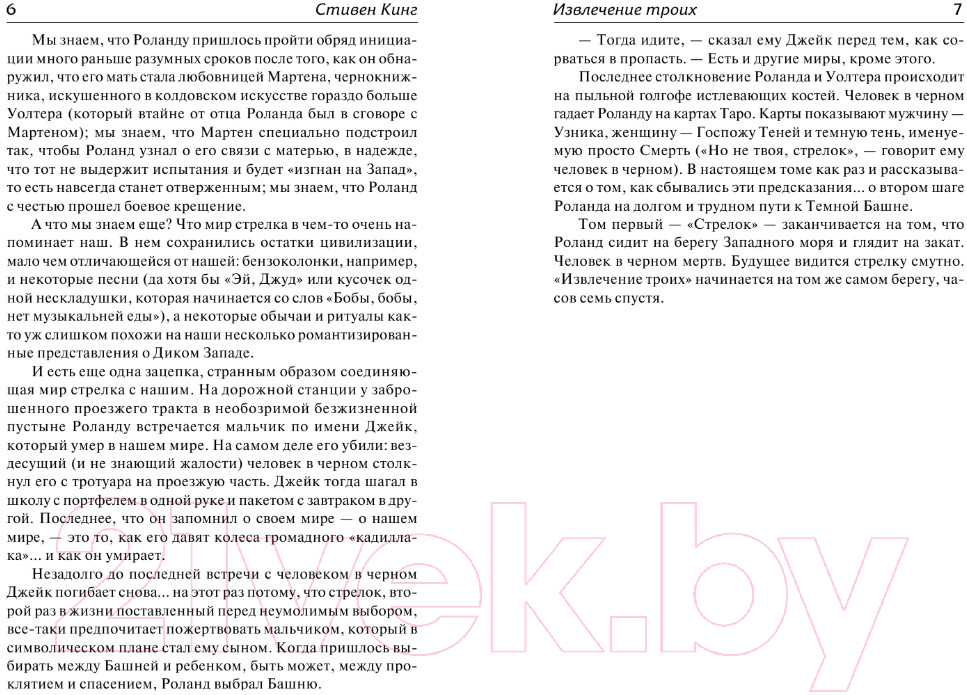 Художественная книга АСТ Темная башня. Извлечение троих (Кинг С.) — фото 4