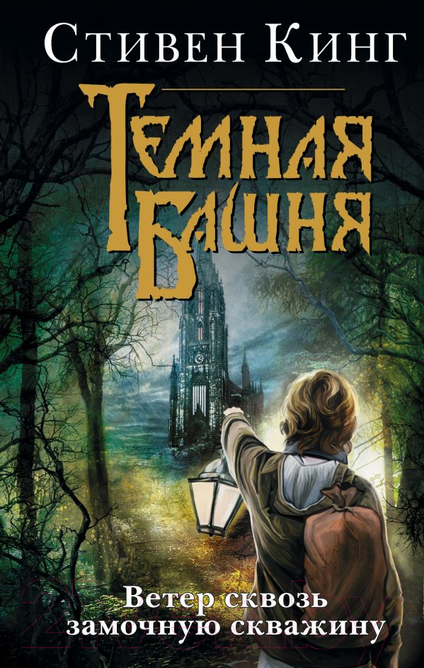 Художественная книга АСТ Ветер сквозь замочную скважину (Кинг С.) — фото 1