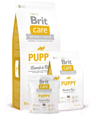 Сухой корм для собак Brit Care Puppy All Breed Lamb & Rice / 132700 (12кг)