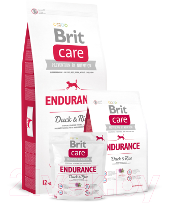 Сухой корм для собак Brit Care Endurance Duck & Rice / 132741 (1кг)