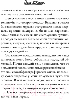 Книга АСТ О лебединых крыльях, котах и чудесах (Михалкова Е.)