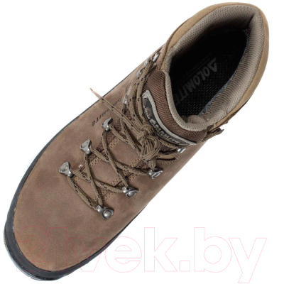 Трекинговые ботинки Dolomite Tofana GTX / 247920-0300 (р-р 9.5, темно-коричневый)