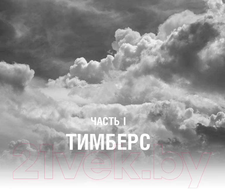Художественная книга АСТ Темная бездна (Конди Э., Райх Б.) — фото 4
