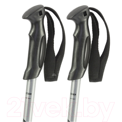 

Горнолыжные палки Cober, Sun Valley Argento / 5461
