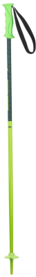 Горнолыжные палки Elan HotRod JR / CD883618 (р.80, зеленый)